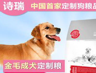 寵物用品加盟排行榜與加盟費分析 兼論數(shù)碼類寵物產品發(fā)展趨勢