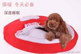 優(yōu)質寵物窩墊與用品廠家直銷，批發(fā)價格盡享舒適與實惠