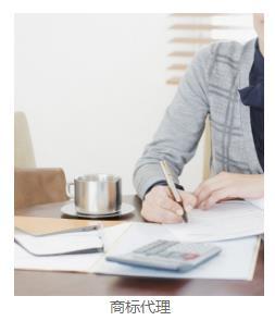 石家莊洋澤財(cái)務(wù)咨詢(xún)